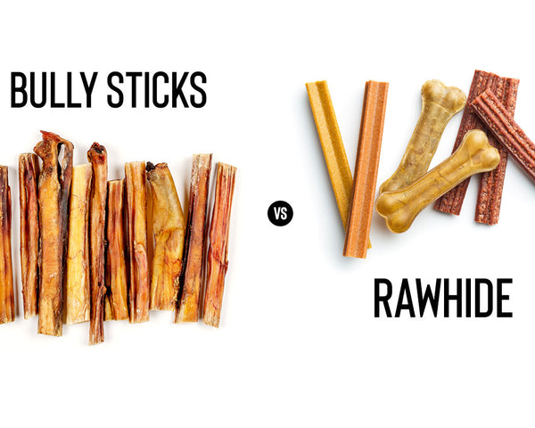 Bully Sticks vs Rawhide