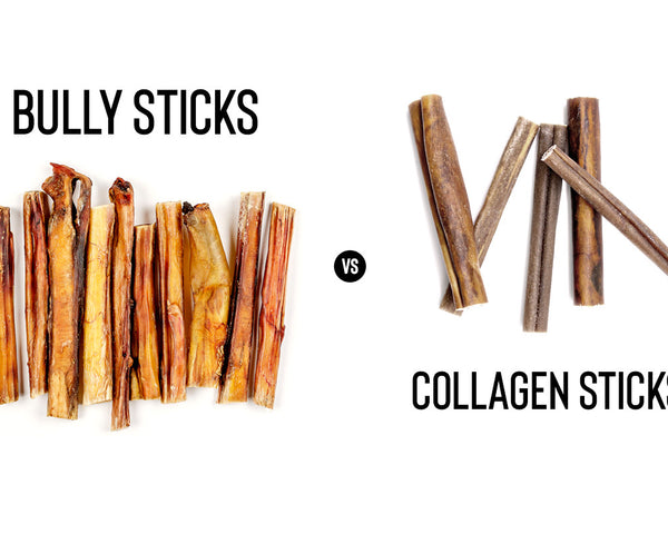 Bully Sticks vs Collagen Sticks