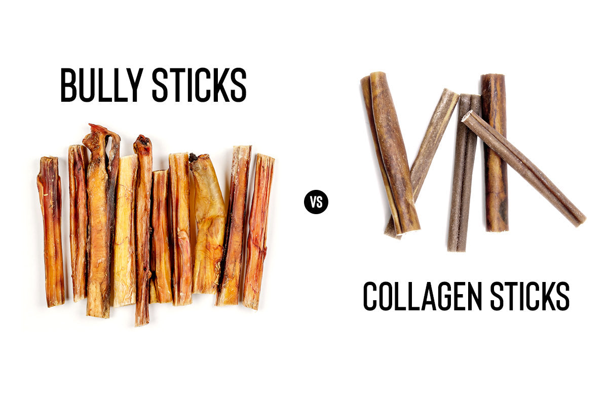 Bully Sticks vs Collagen Sticks