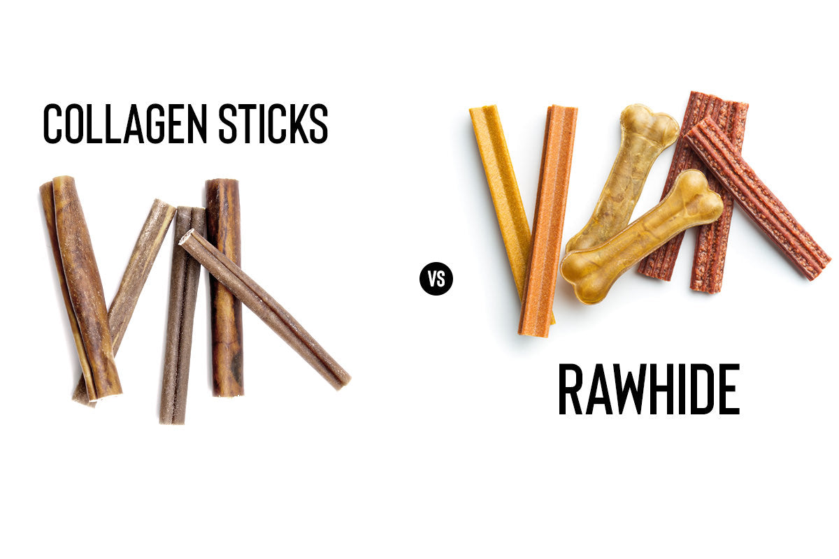 Collagen Sticks vs Rawhide