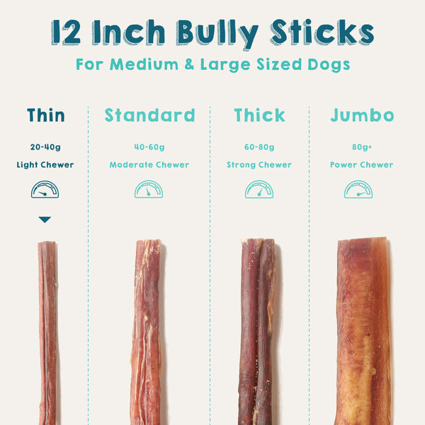 12 Inch Bully Sticks - Thin - Odor-Free