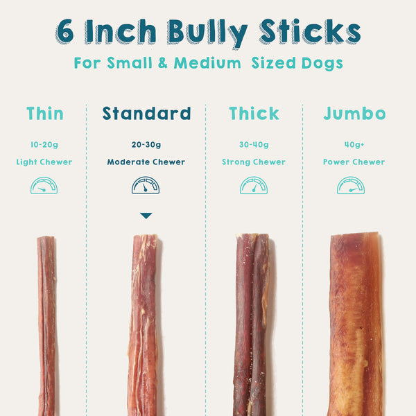 6 Inch Bully Sticks - Standard - Odor-Free