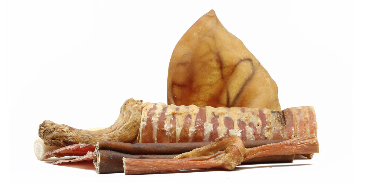 12 Alternatives to Bully Sticks