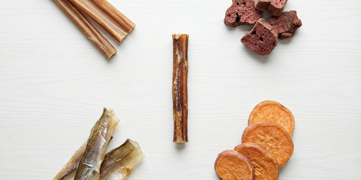 Single Ingredient Dog Treats: Where Less is More