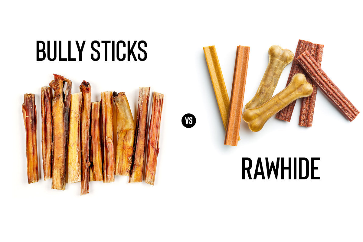 Bully Sticks vs Rawhide