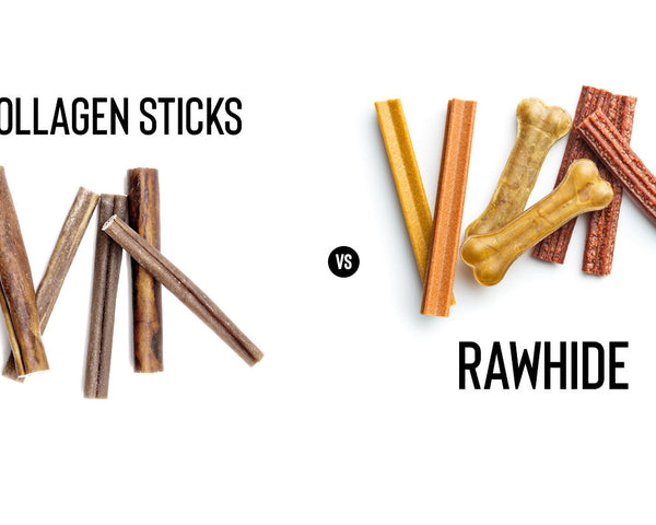 Collagen Sticks vs Rawhide