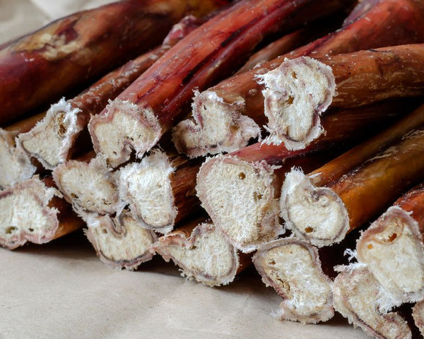 What Is A Bully Stick? The Complete Guide for Dog Owners