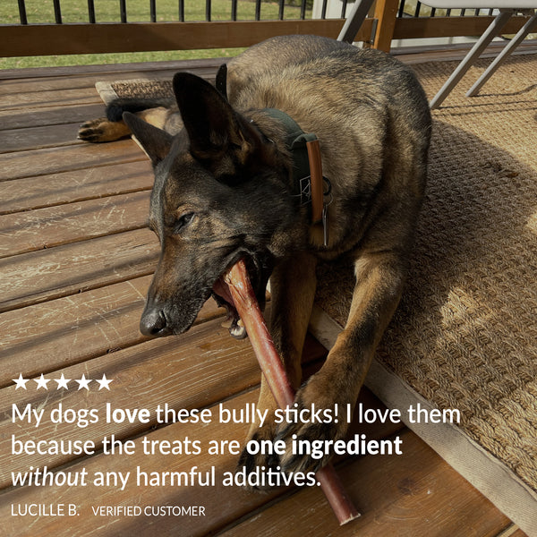 Dog chewing on a bully stick on a wooden deck with a customer review overlay.