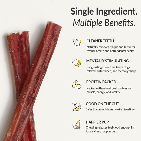 12 Inch Bully Sticks - Thick