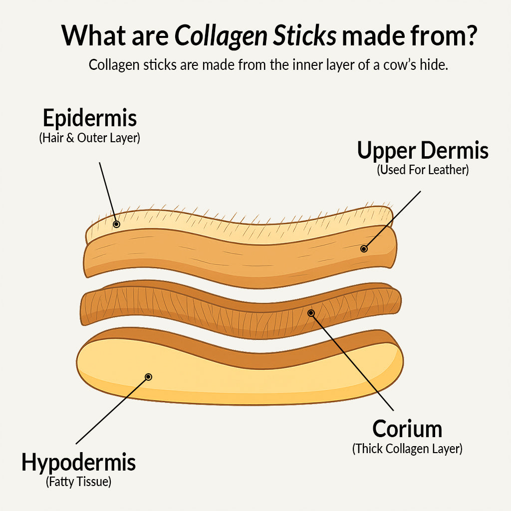 4 Inch Collagen Rings