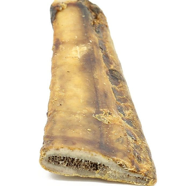 6 Inch Beef Rib Bones - 2