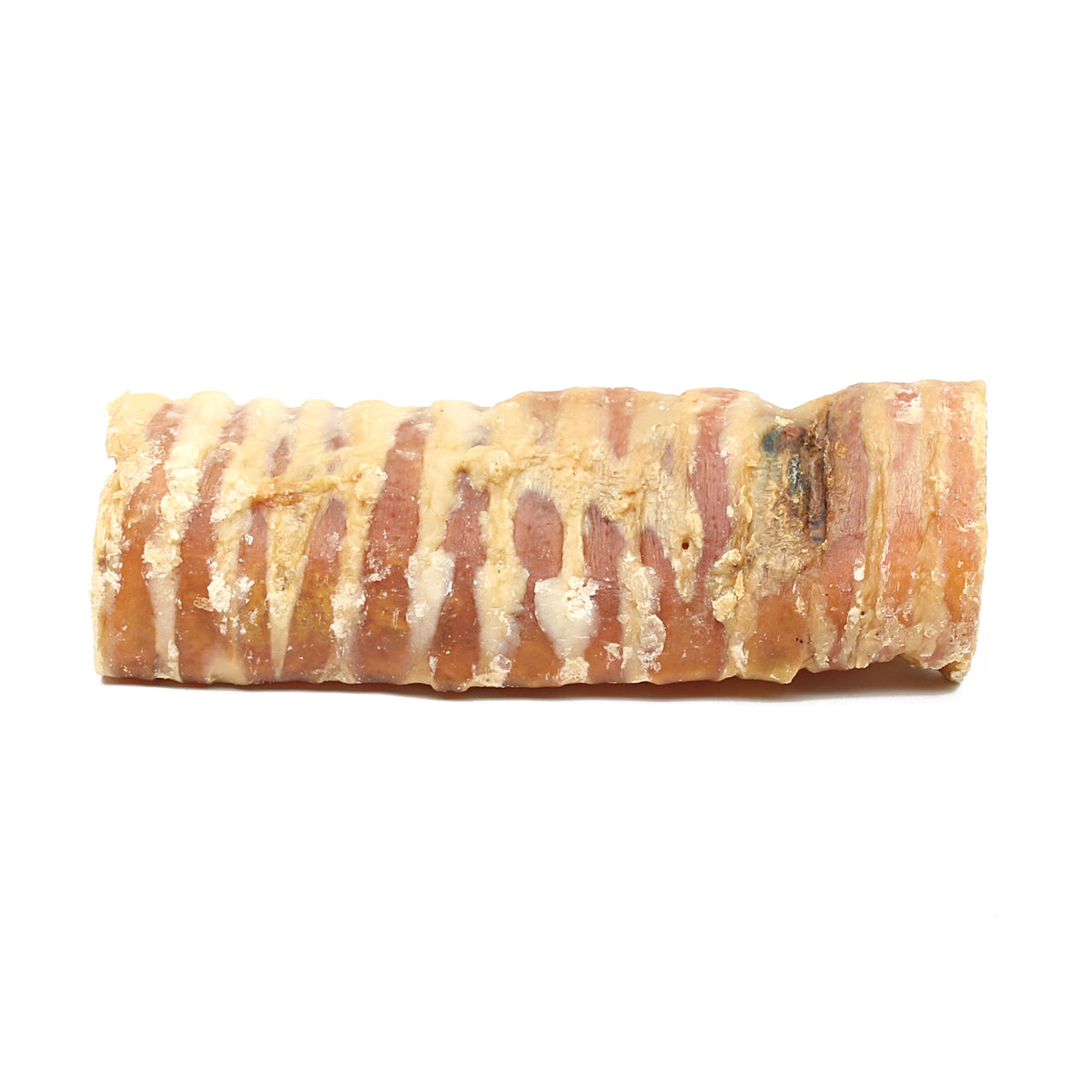 6 Inch Beef Trachea