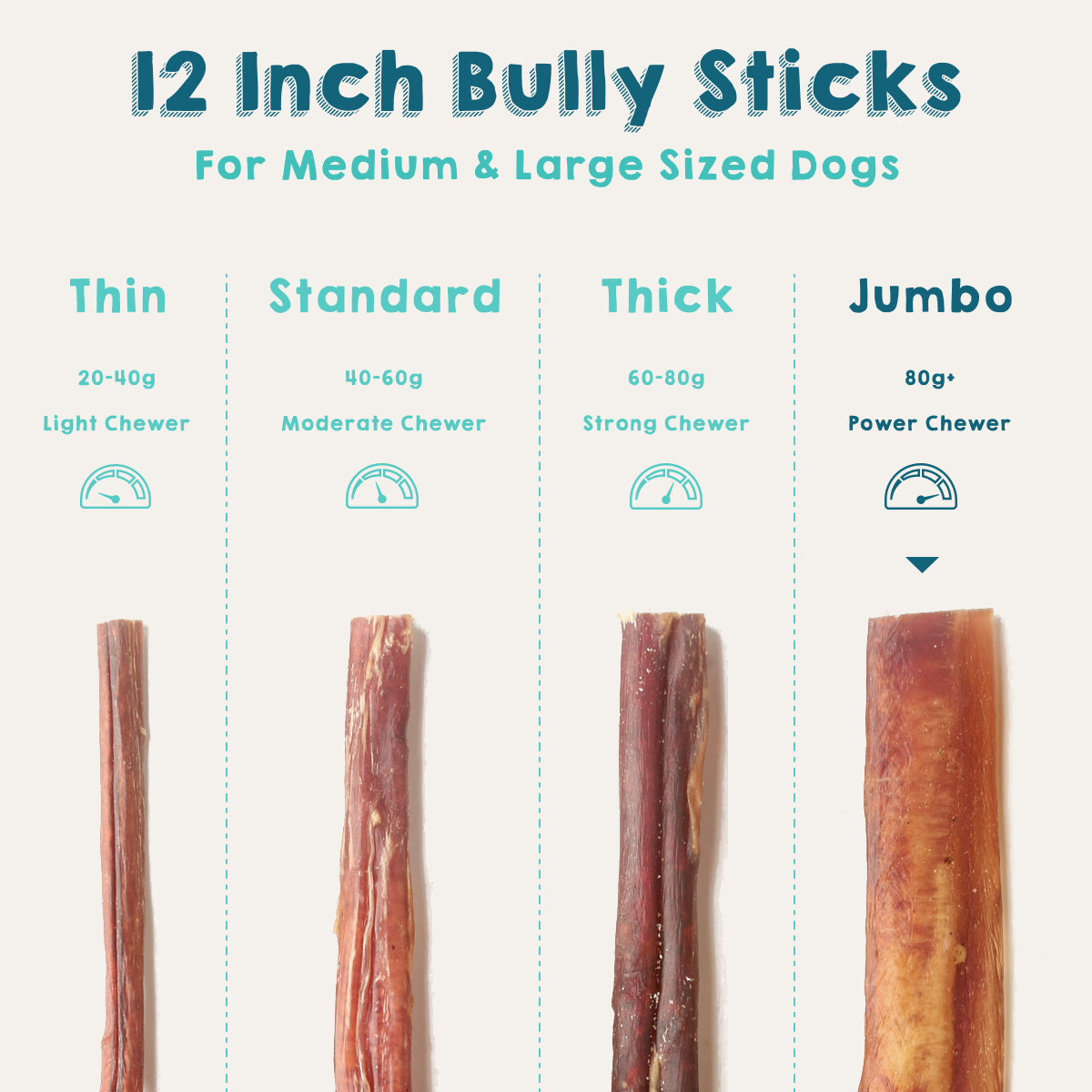 12 Inch Bully Sticks - Jumbo - Odor-Free