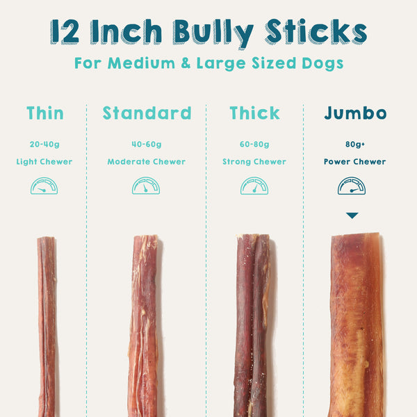 12 Inch Bully Sticks - Jumbo