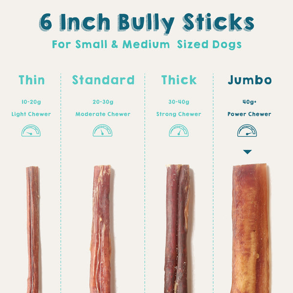 6 Inch Bully Sticks - Jumbo - Odor-Free