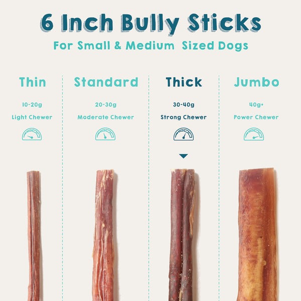 6 Inch Bully Sticks - Thick - Odor-Free from $24.66 | BullyStick.com