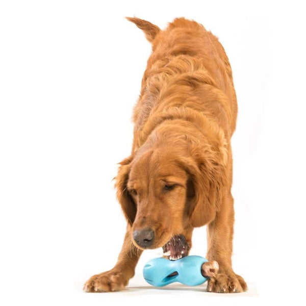 West Paw Design Qwizl Treat Toy - 3