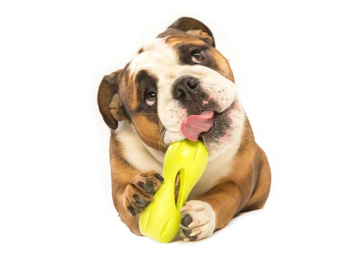 West Paw Design Qwizl Treat Toy - 2
