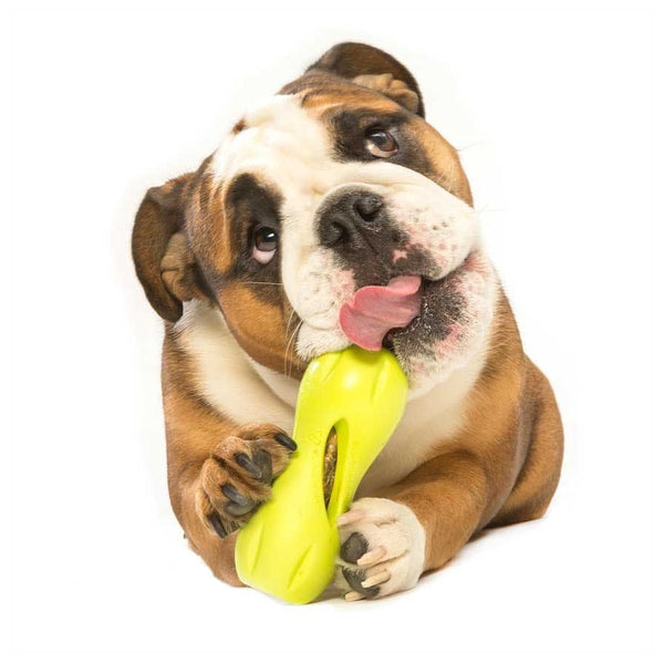 West Paw Design Qwizl Treat Toy - 2