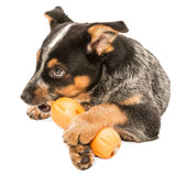 West Paw Design Qwizl Treat Toy - 4