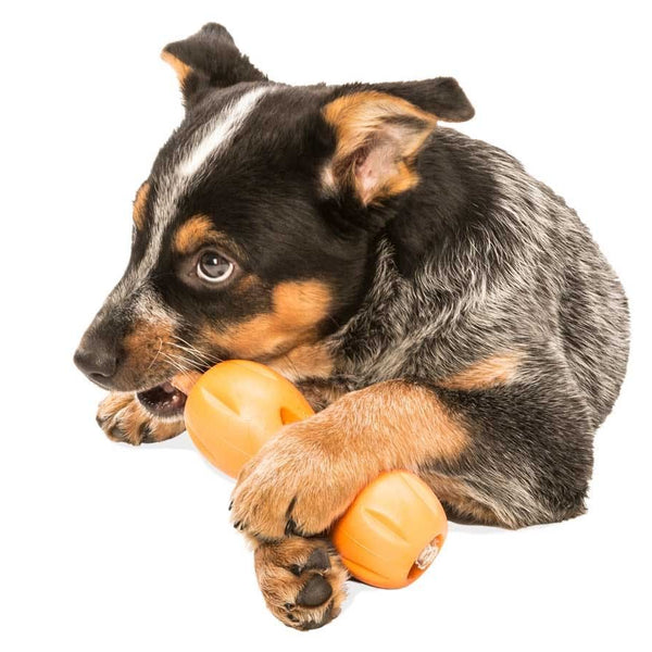 West Paw Design Qwizl Treat Toy - 4